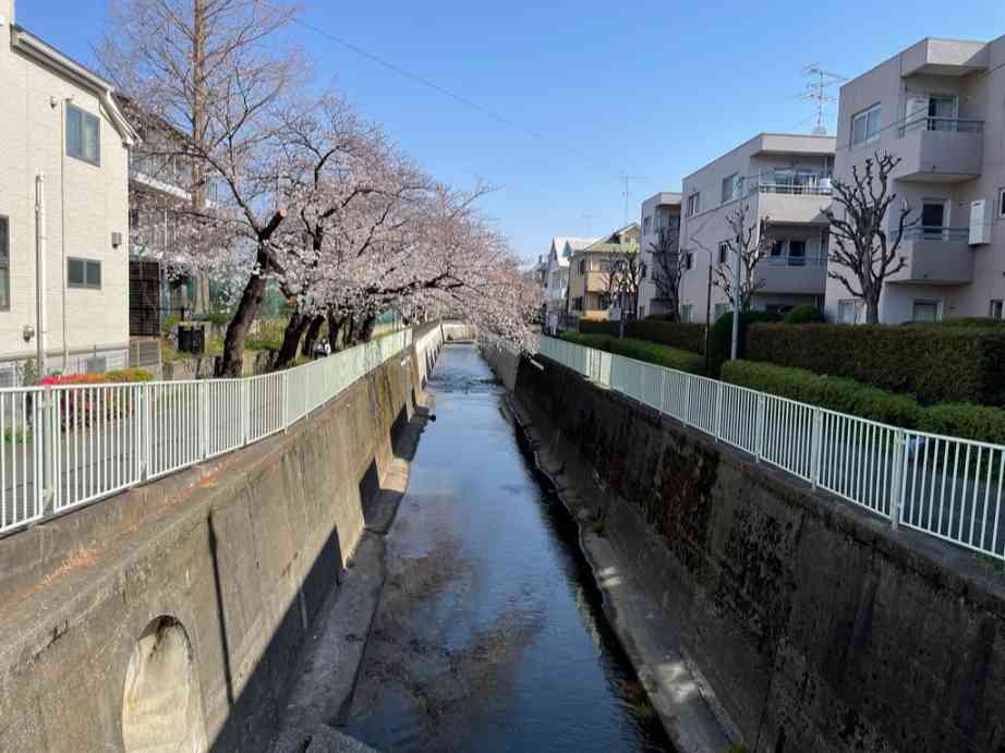 家賃と利便どちらを取るべき？都内の一人暮らし用物件の見つけ方を解説